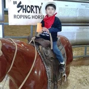 Meet your Posher, Elvia